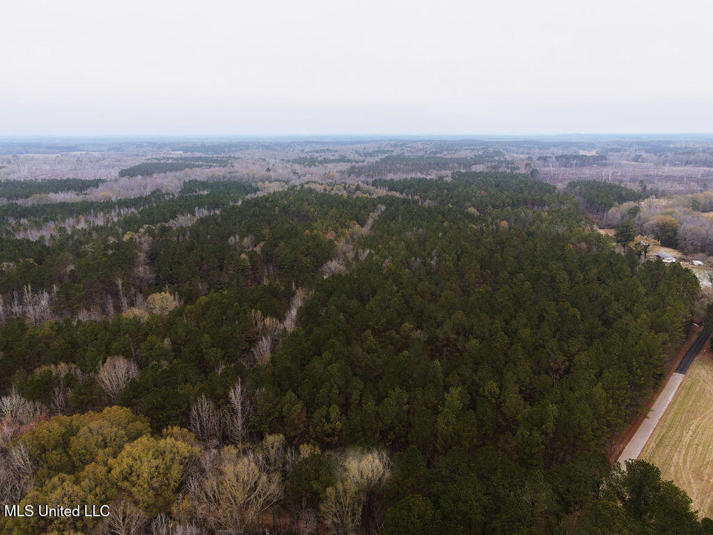 Bright Road Ackerman, MS 39735 - Photo 5 of 9 dji_fly_20251209_093844_809_176529501314