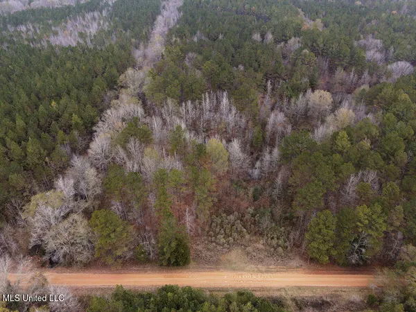 $243,000 | Bright Road, Ackerman, MS 39735
