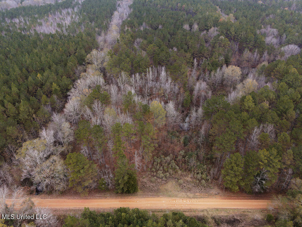 Bright Road Ackerman, MS 39735 - Photo 6 of 9 dji_fly_20251209_094016_811_176529500367