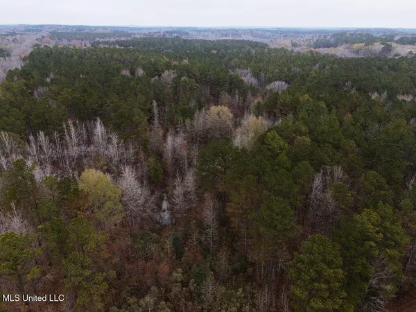 $243,000 | Bright Road, Ackerman, MS 39735