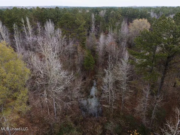 $243,000 | Bright Road, Ackerman, MS 39735