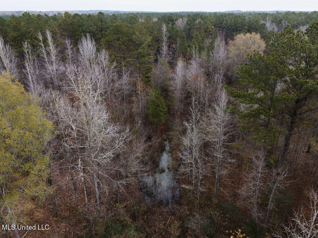 Bright Road Ackerman, MS 39735 - Photo 8 of 9 dji_fly_20251209_094126_813_176529499342