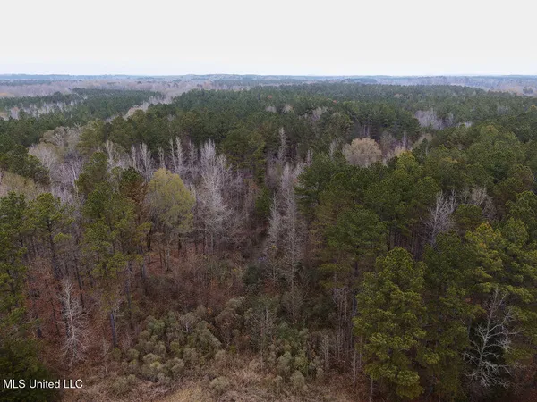 $243,000 | Bright Road, Ackerman, MS 39735