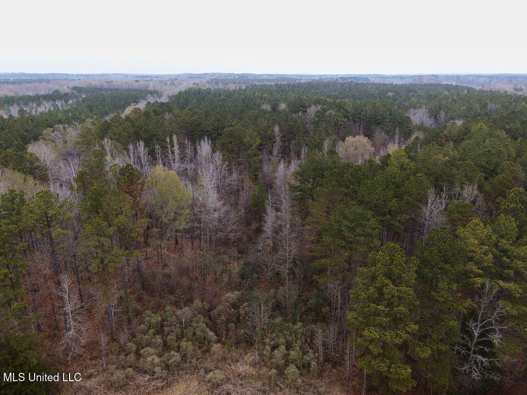 Bright Road Ackerman, MS 39735 - Photo 9 of 9 dji_fly_20251209_094204_814_176529498249