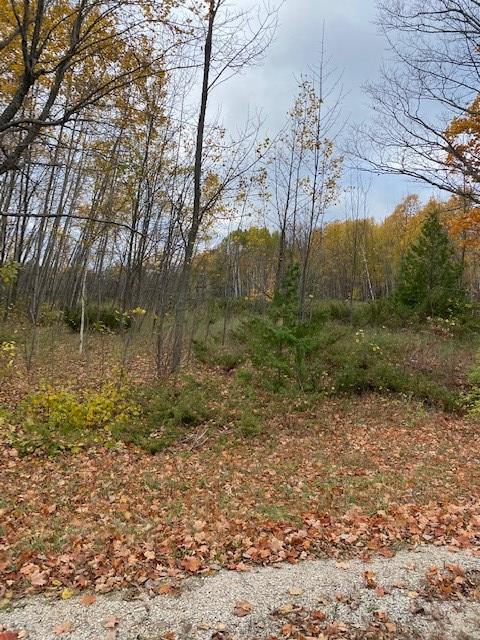 Tbd Highview Road Sister Bay, WI 54234 - Photo 3 of 3