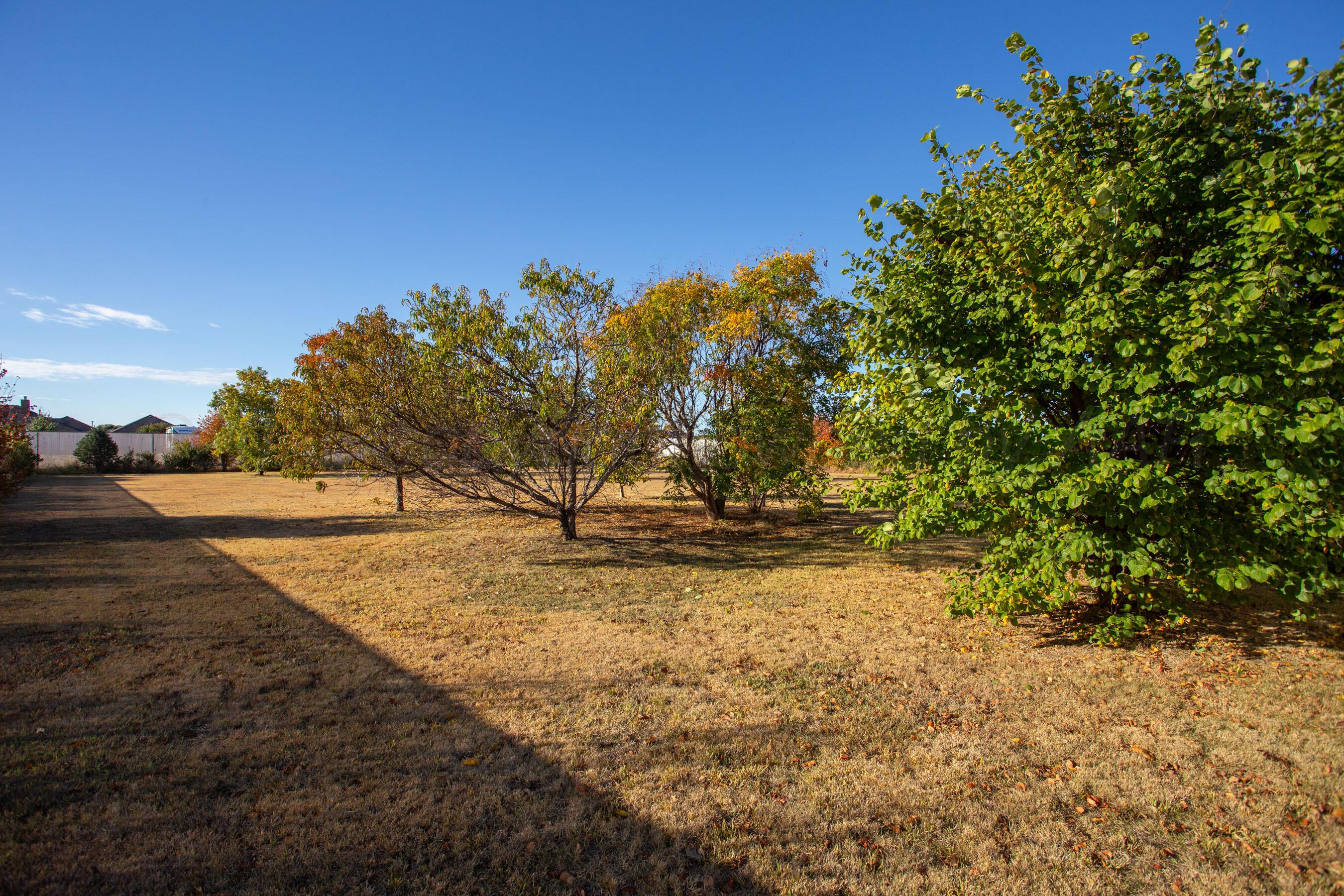 8001 Raburn Lane Canyon, TX 79015 - Photo 32 of 51 29