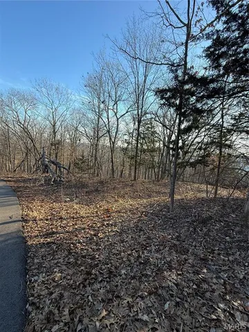 $15,000 | 1652 Timber Blf Trail, Pacific, MO 63069