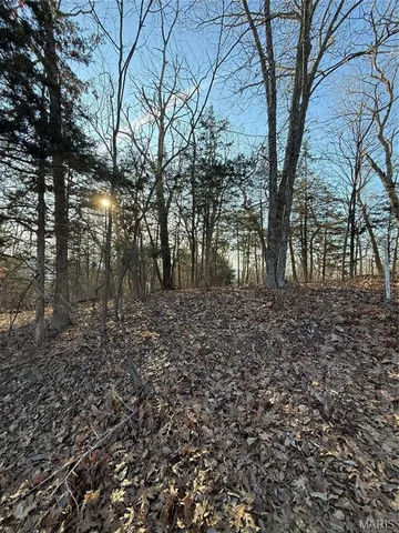 $15,000 | 1652 Timber Blf Trail, Pacific, MO 63069