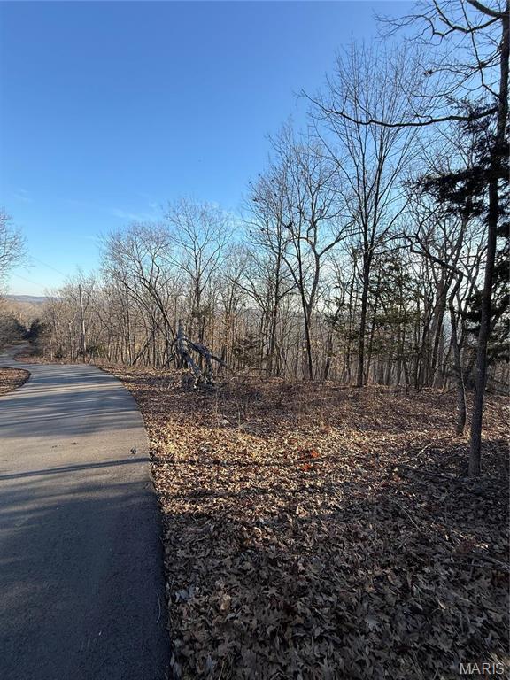 1652 Timber Blf Trail Pacific, MO 63069 - Photo 5 of 5