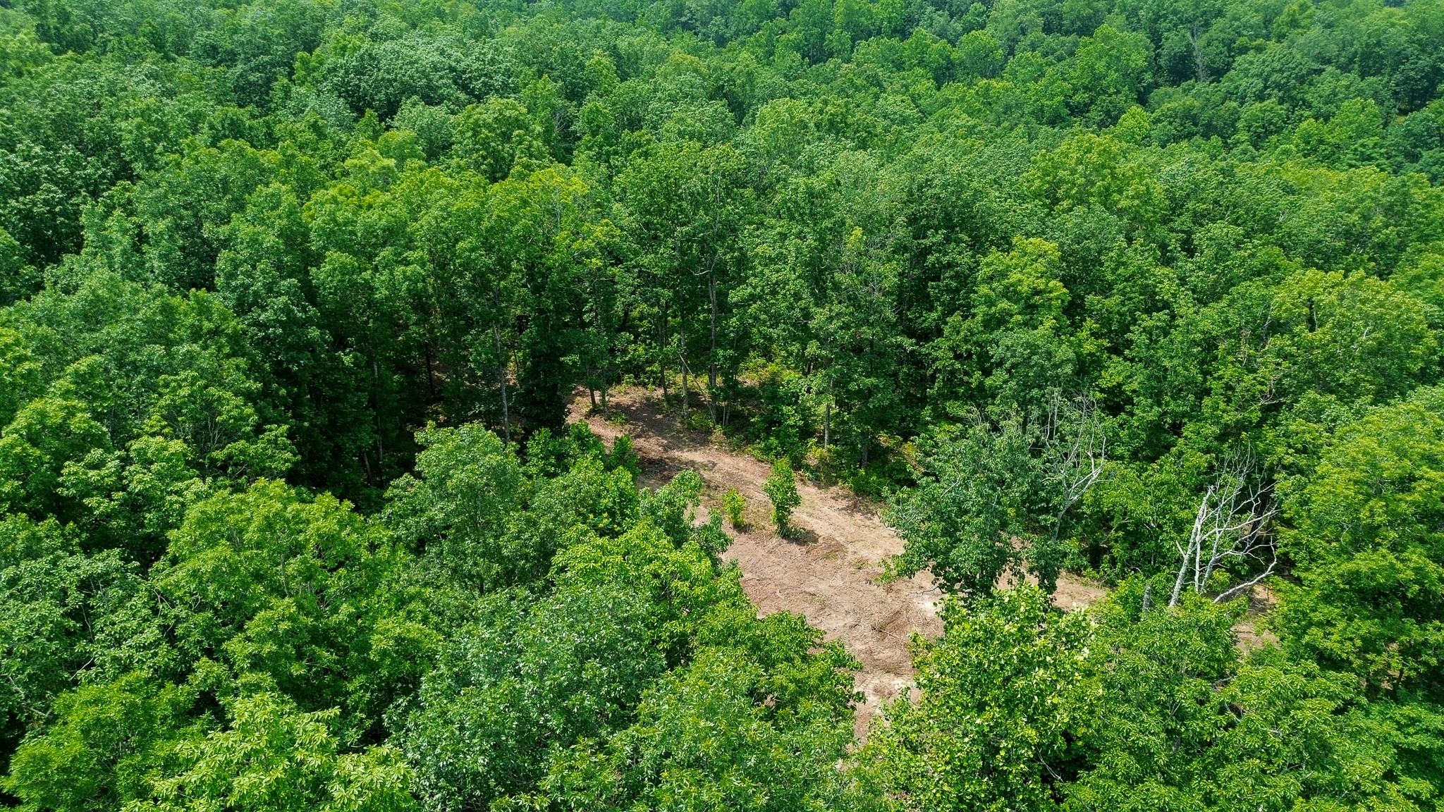 0 Catheys Creek Road Hampshire, TN 38461 - Photo 13 of 34