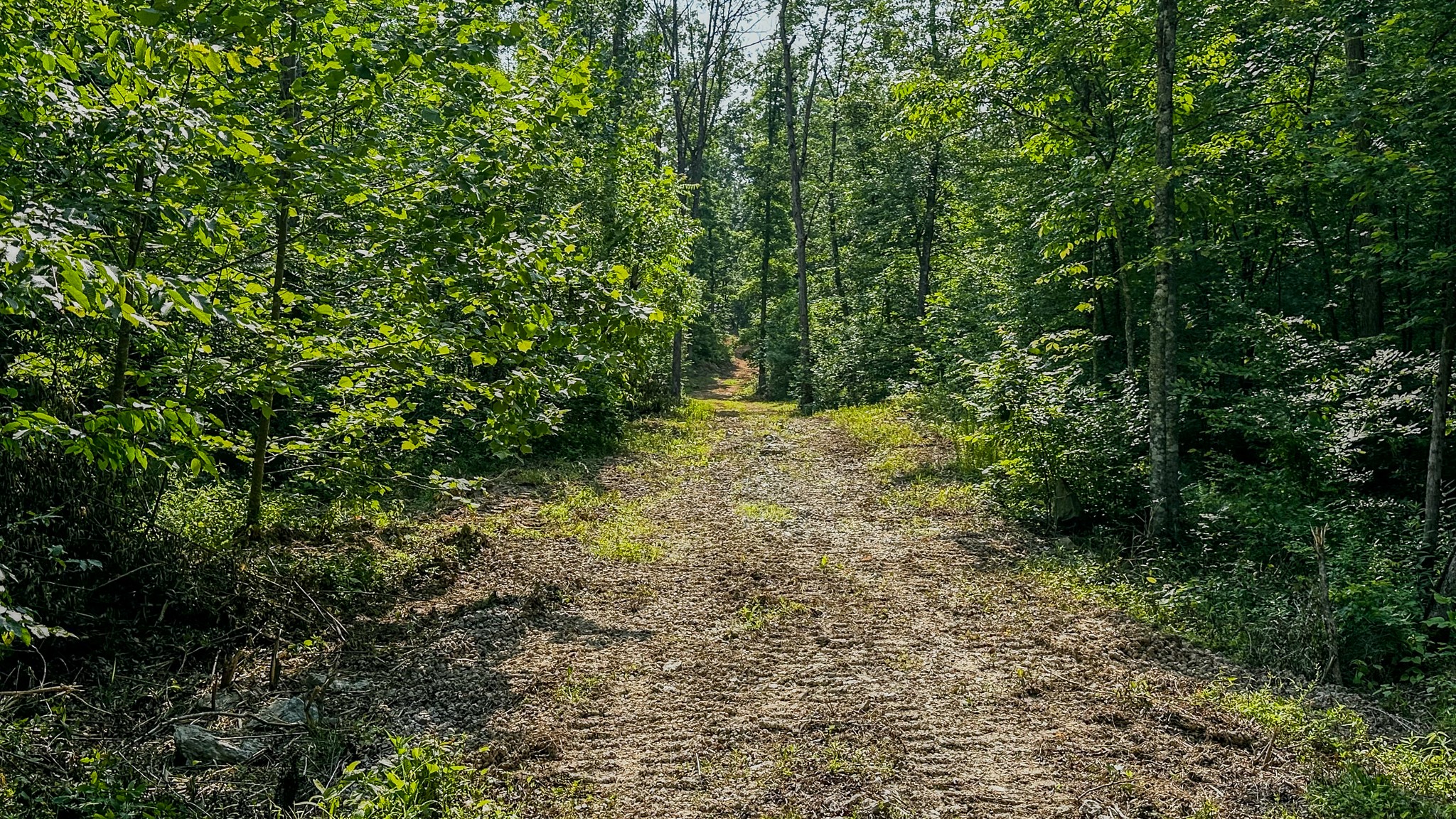 0 Catheys Creek Road Hampshire, TN 38461 - Photo 15 of 34