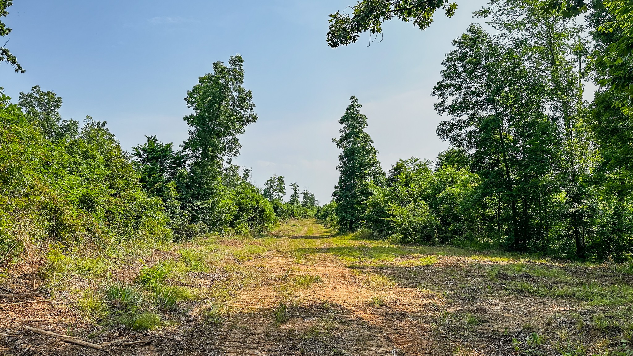 0 Catheys Creek Road Hampshire, TN 38461 - Photo 17 of 34