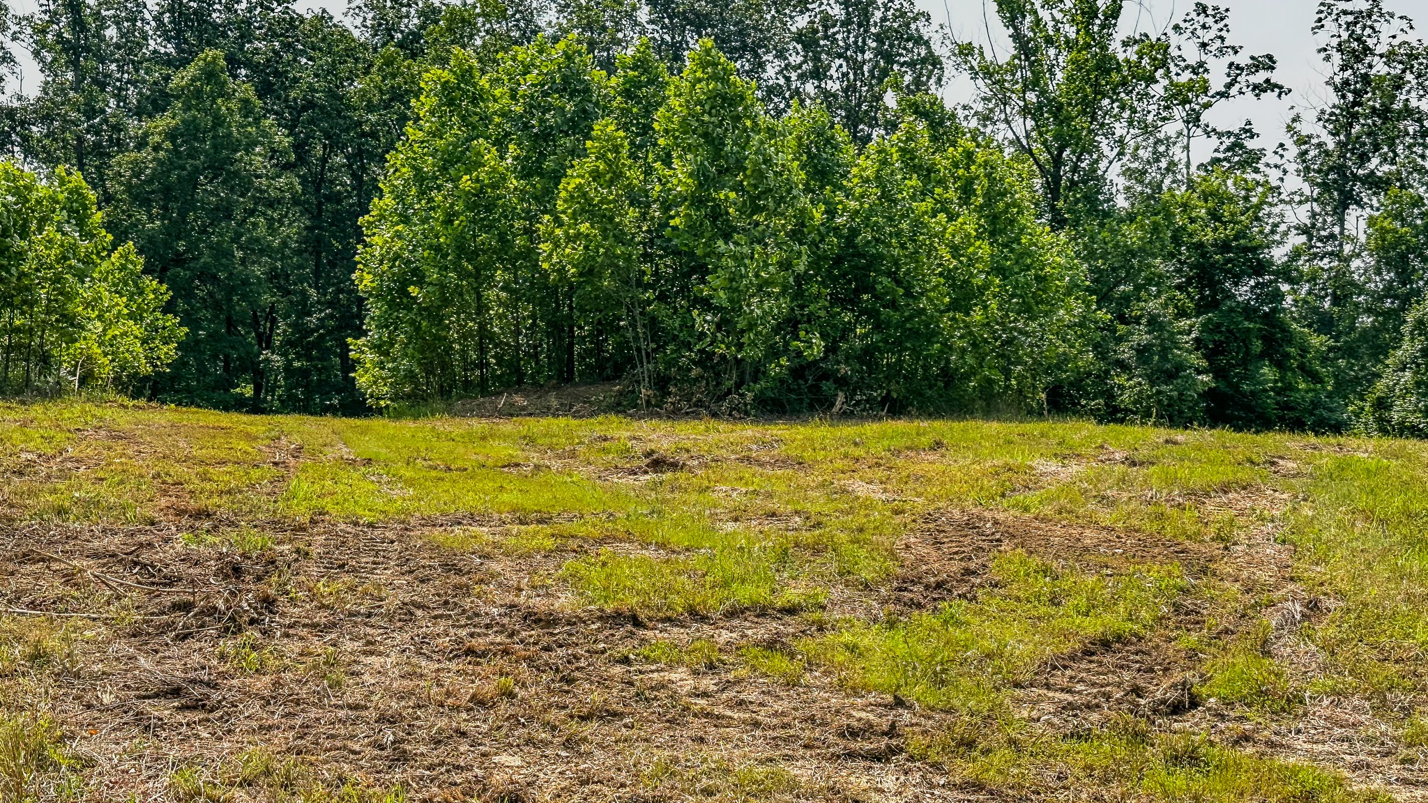 0 Catheys Creek Road Hampshire, TN 38461 - Photo 18 of 34