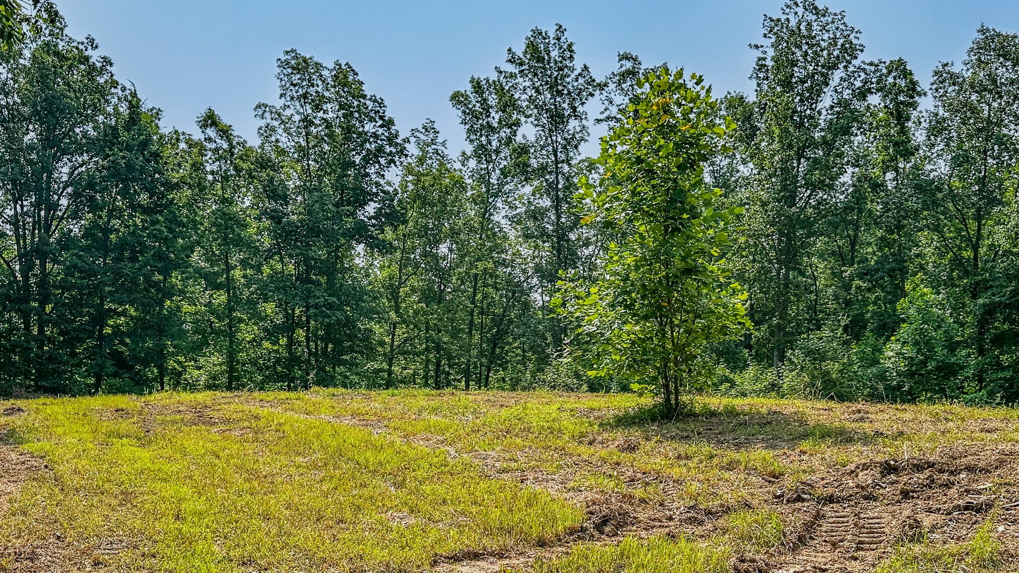 0 Catheys Creek Road Hampshire, TN 38461 - Photo 19 of 34