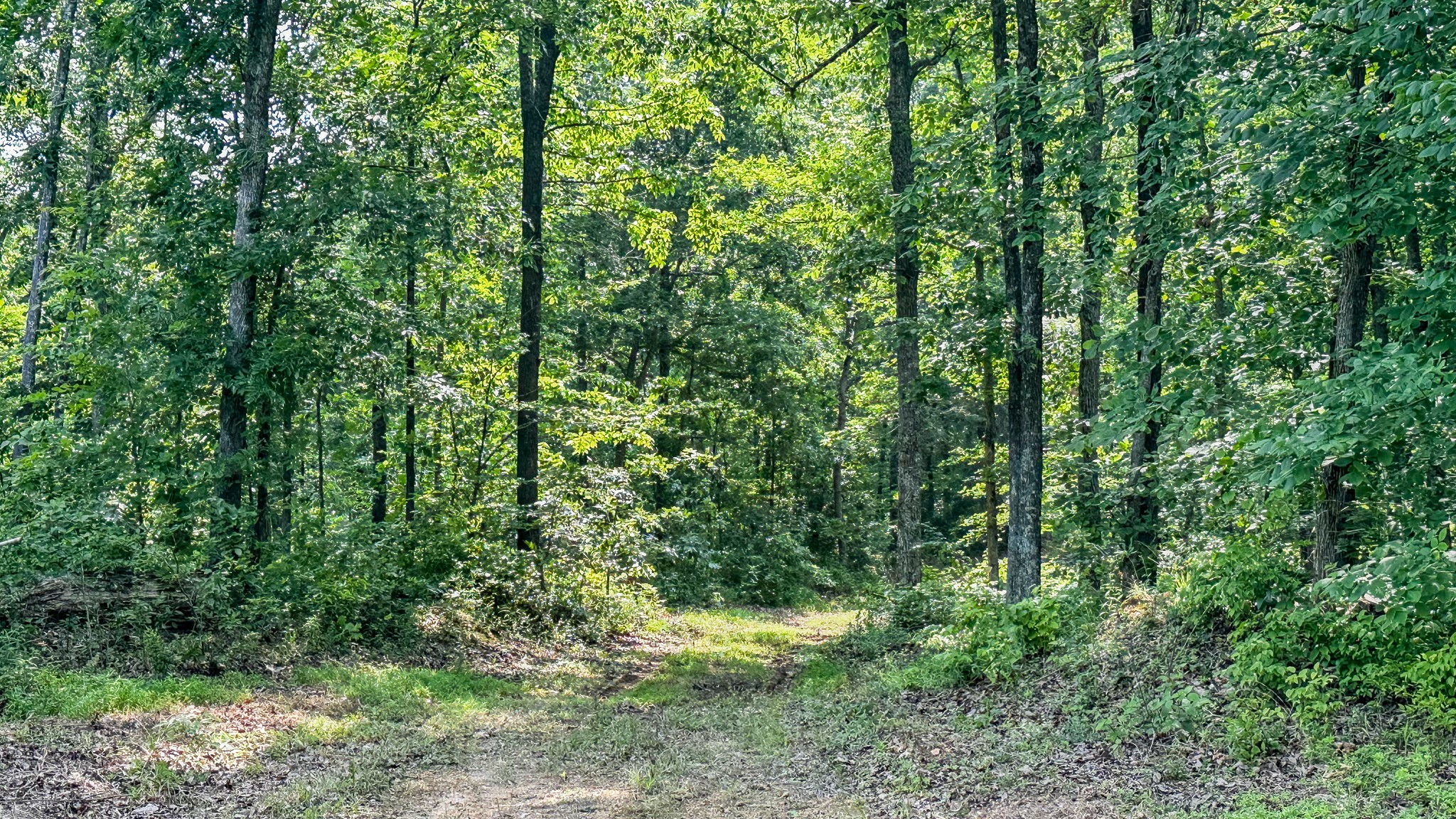 0 Catheys Creek Road Hampshire, TN 38461 - Photo 20 of 34