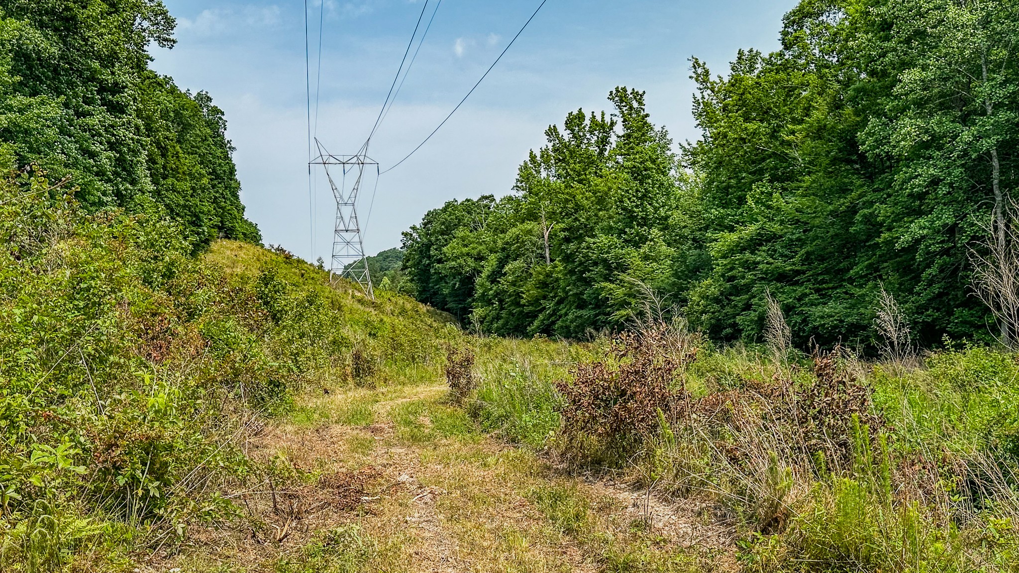 0 Catheys Creek Road Hampshire, TN 38461 - Photo 22 of 34