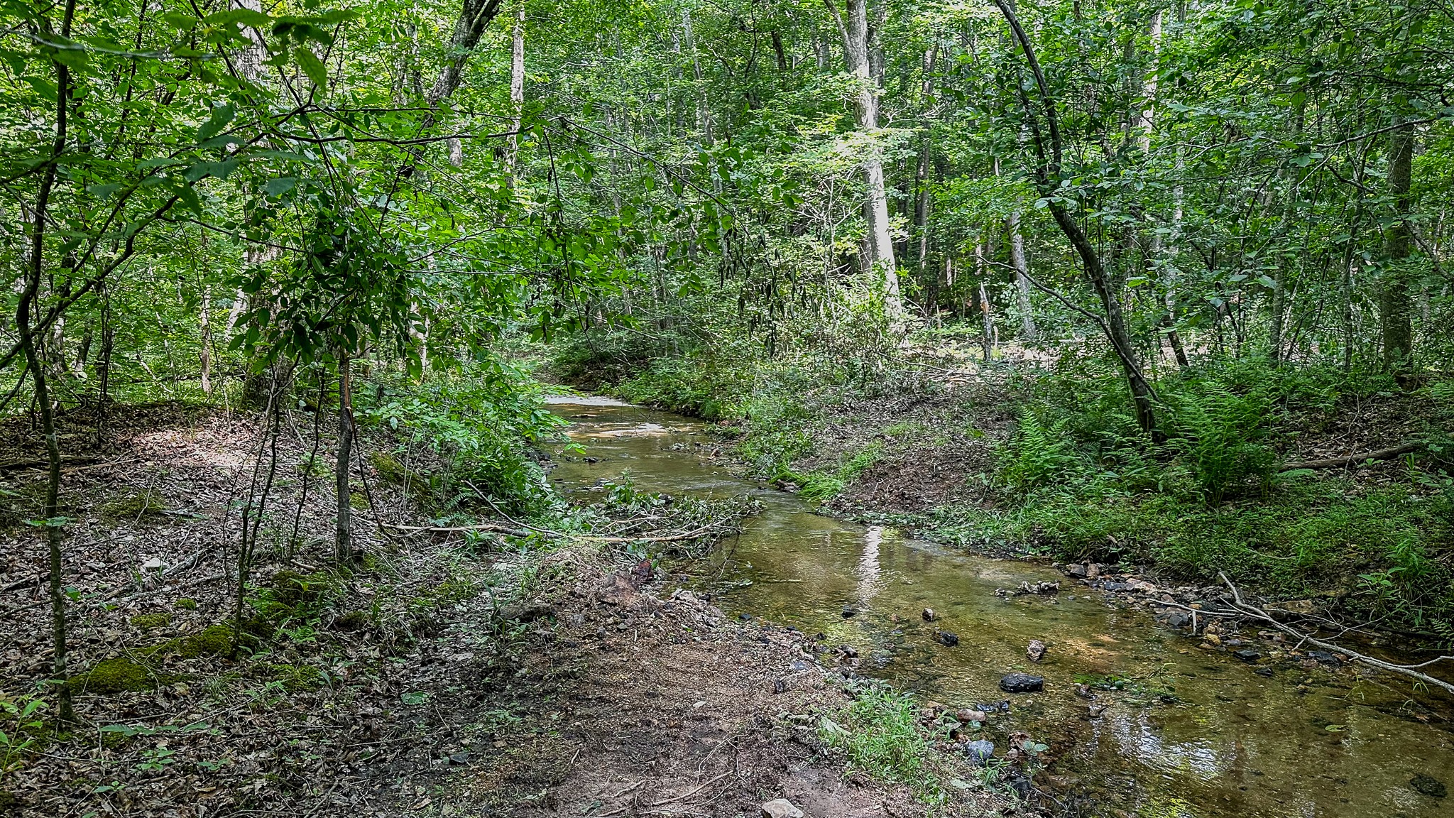 0 Catheys Creek Road Hampshire, TN 38461 - Photo 23 of 34