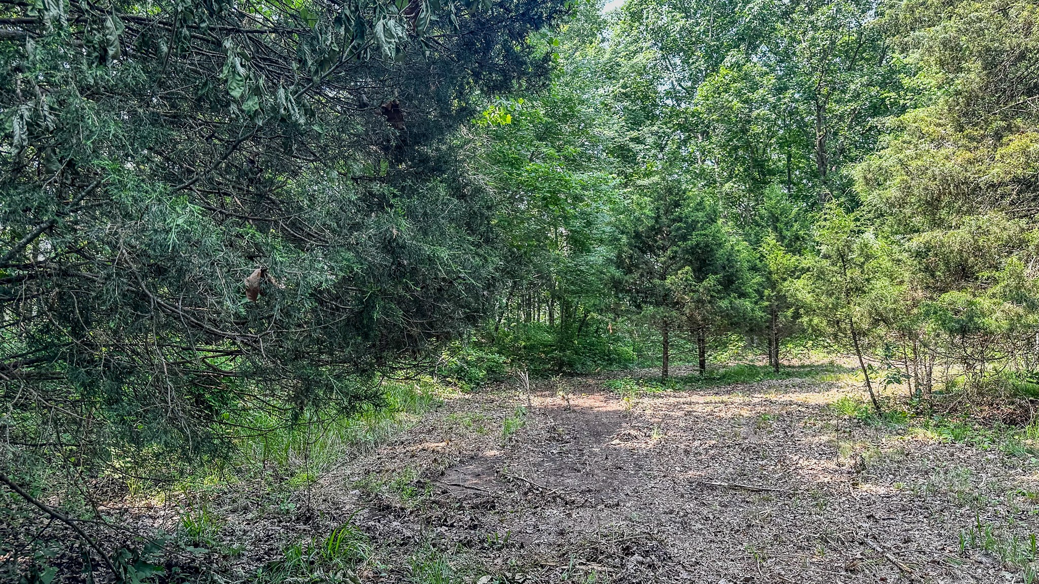 0 Catheys Creek Road Hampshire, TN 38461 - Photo 30 of 34