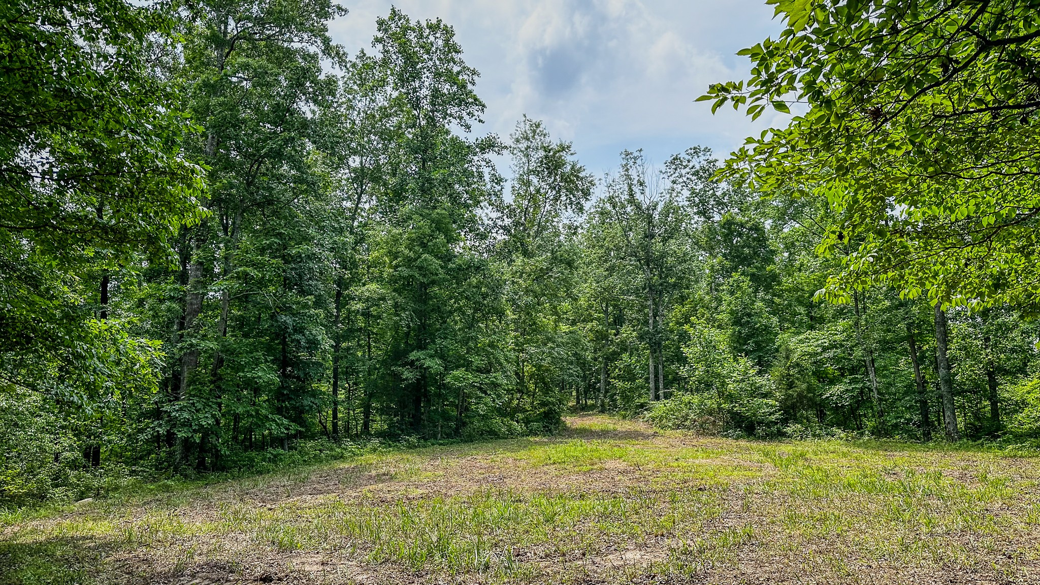 0 Catheys Creek Road Hampshire, TN 38461 - Photo 34 of 34