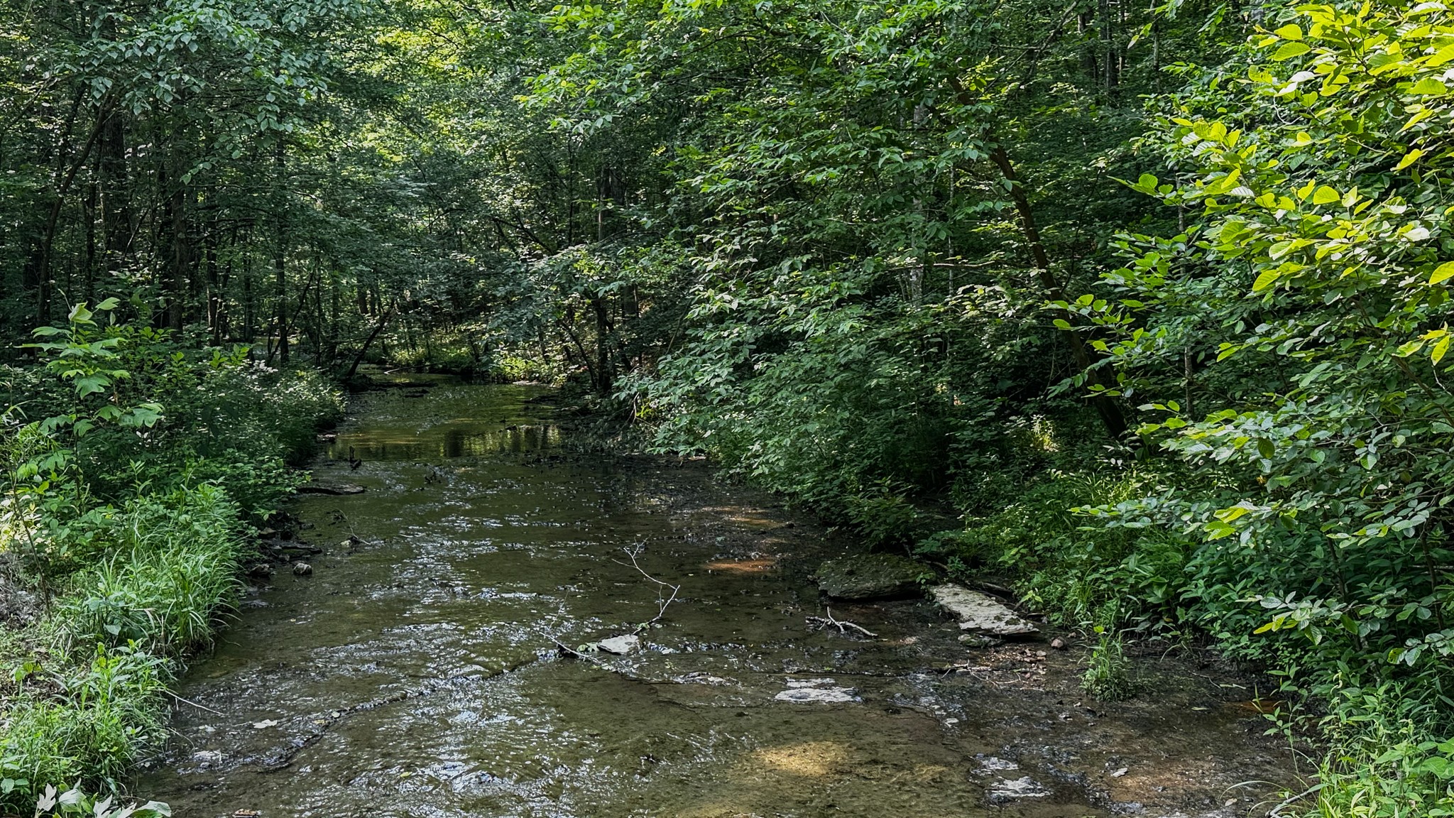 0 Catheys Creek Road Hampshire, TN 38461 - Photo 4 of 34