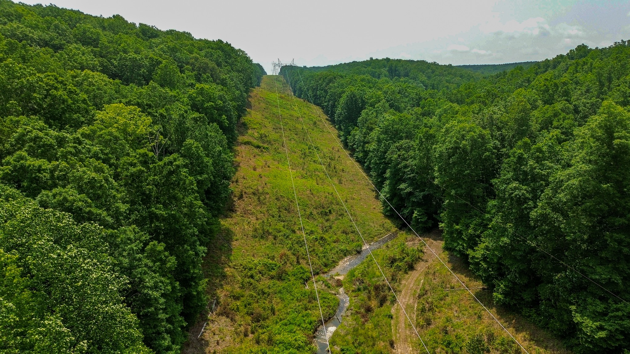 0 Catheys Creek Road Hampshire, TN 38461 - Photo 8 of 34