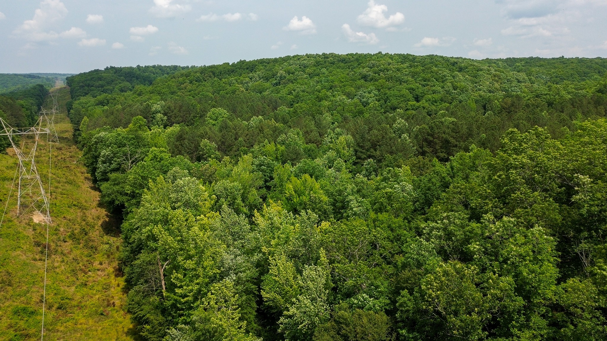 0 Catheys Creek Road Hampshire, TN 38461 - Photo 9 of 34