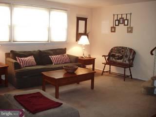 7316 Hill Road Philadelphia, PA 19128 - Photo 2 of 6 Gallery Image 2