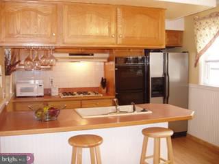 7316 Hill Road Philadelphia, PA 19128 - Photo 4 of 6 Gallery Image 4