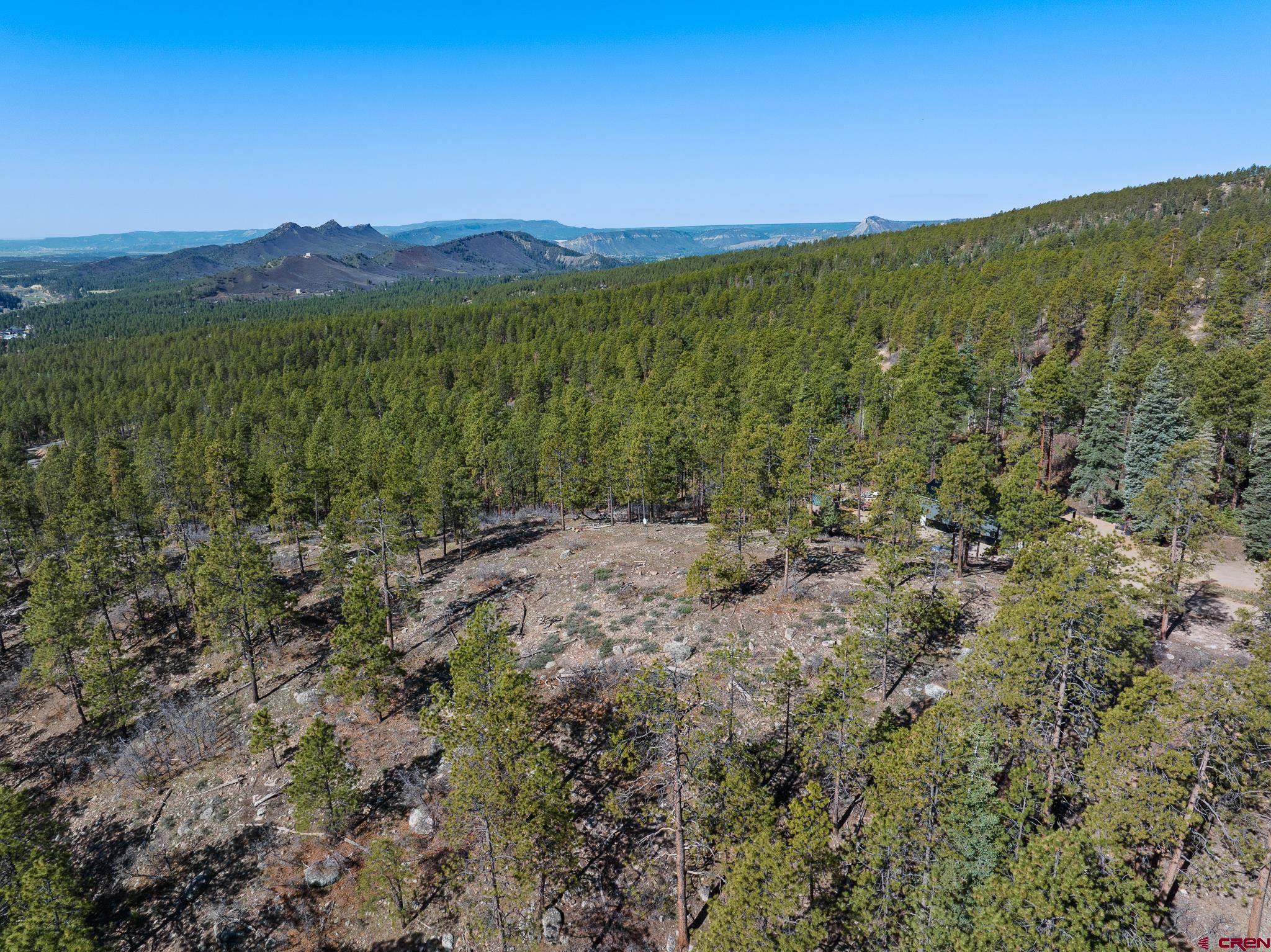 2632 Taylor Ranch Road Durango, CO 81301 - Photo 29 of 35 a view of an lush green forest