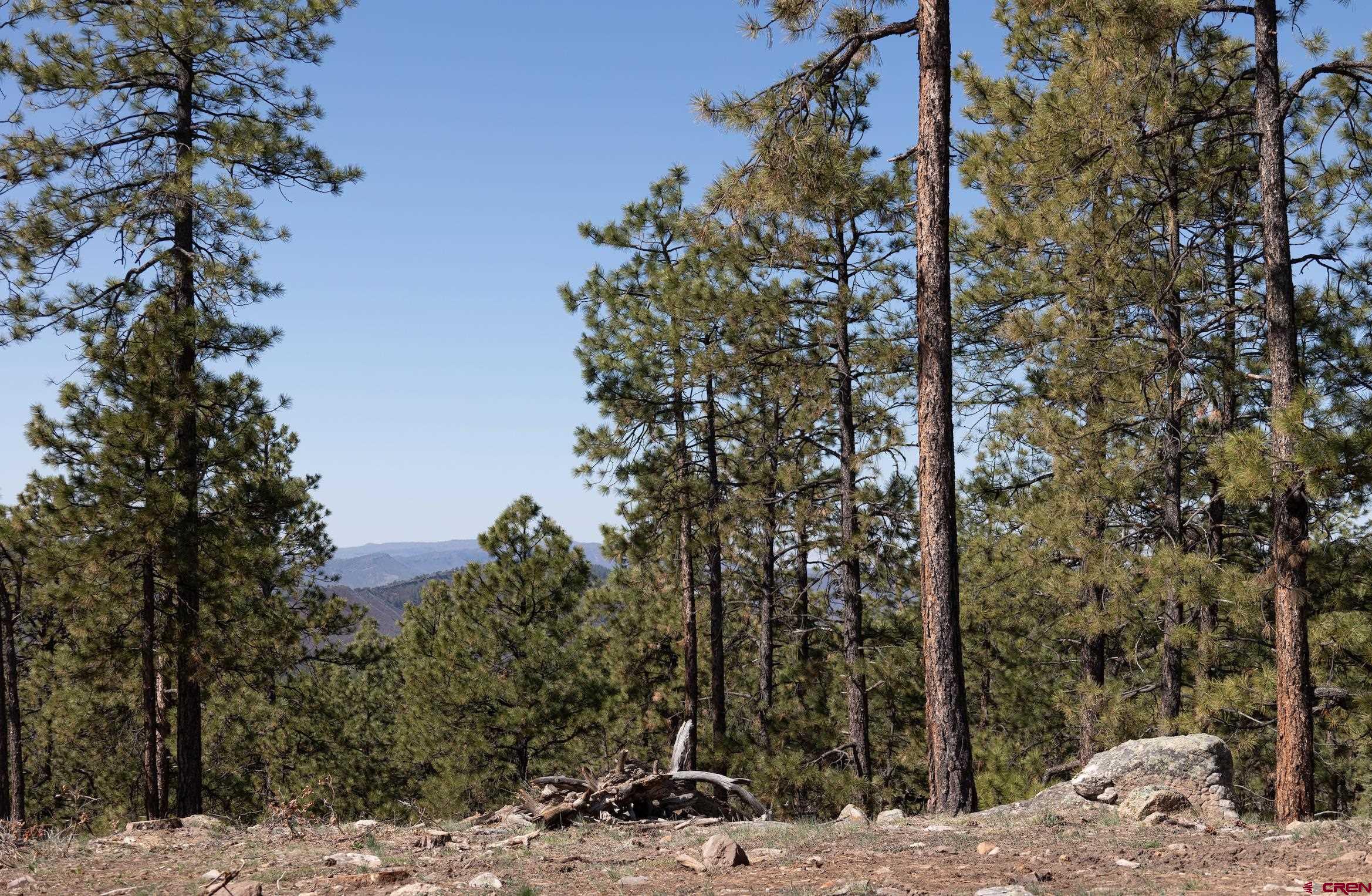 2632 Taylor Ranch Road Durango, CO 81301 - Photo 33 of 35 a view of a covered with snow in the background
