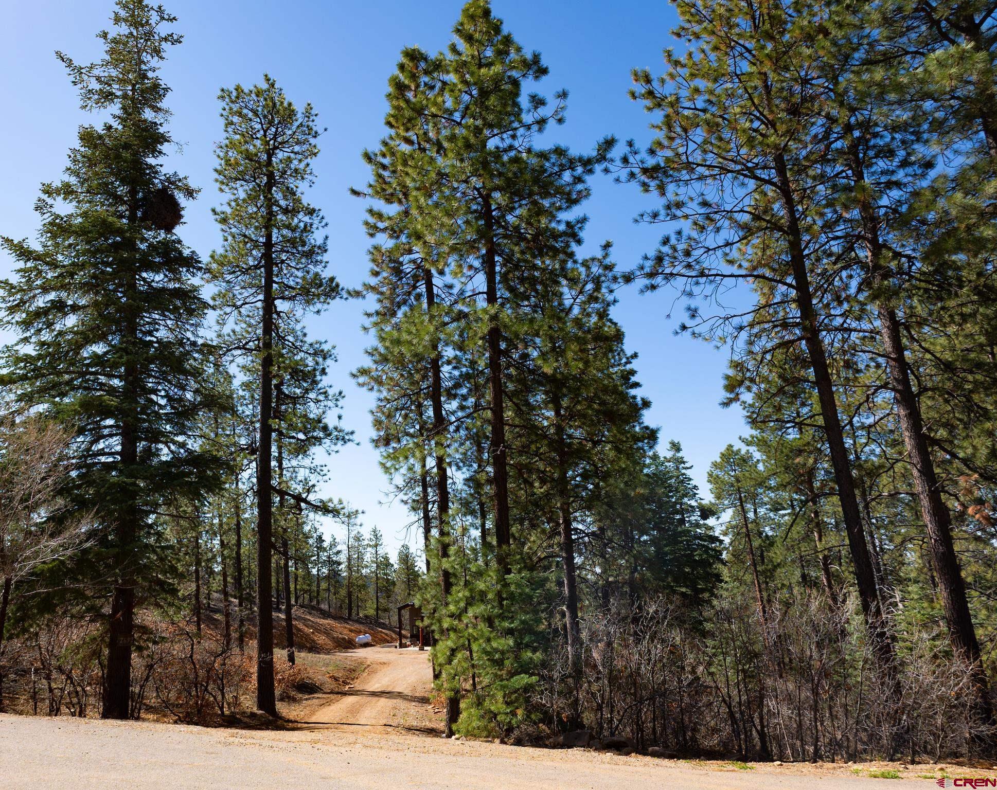 2632 Taylor Ranch Road Durango, CO 81301 - Photo 34 of 35 a view of a park