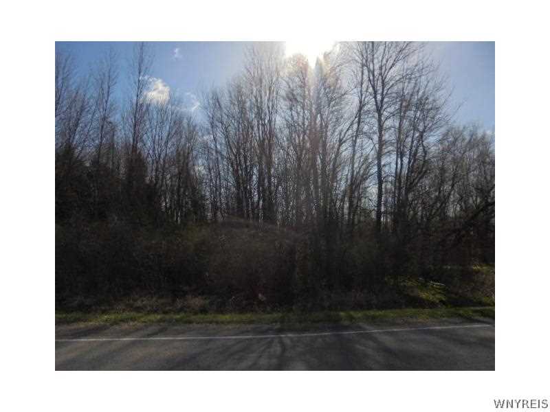 V/l Hosmer Road East Appleton, NY 14008 - Photo 1 of 1 Other.