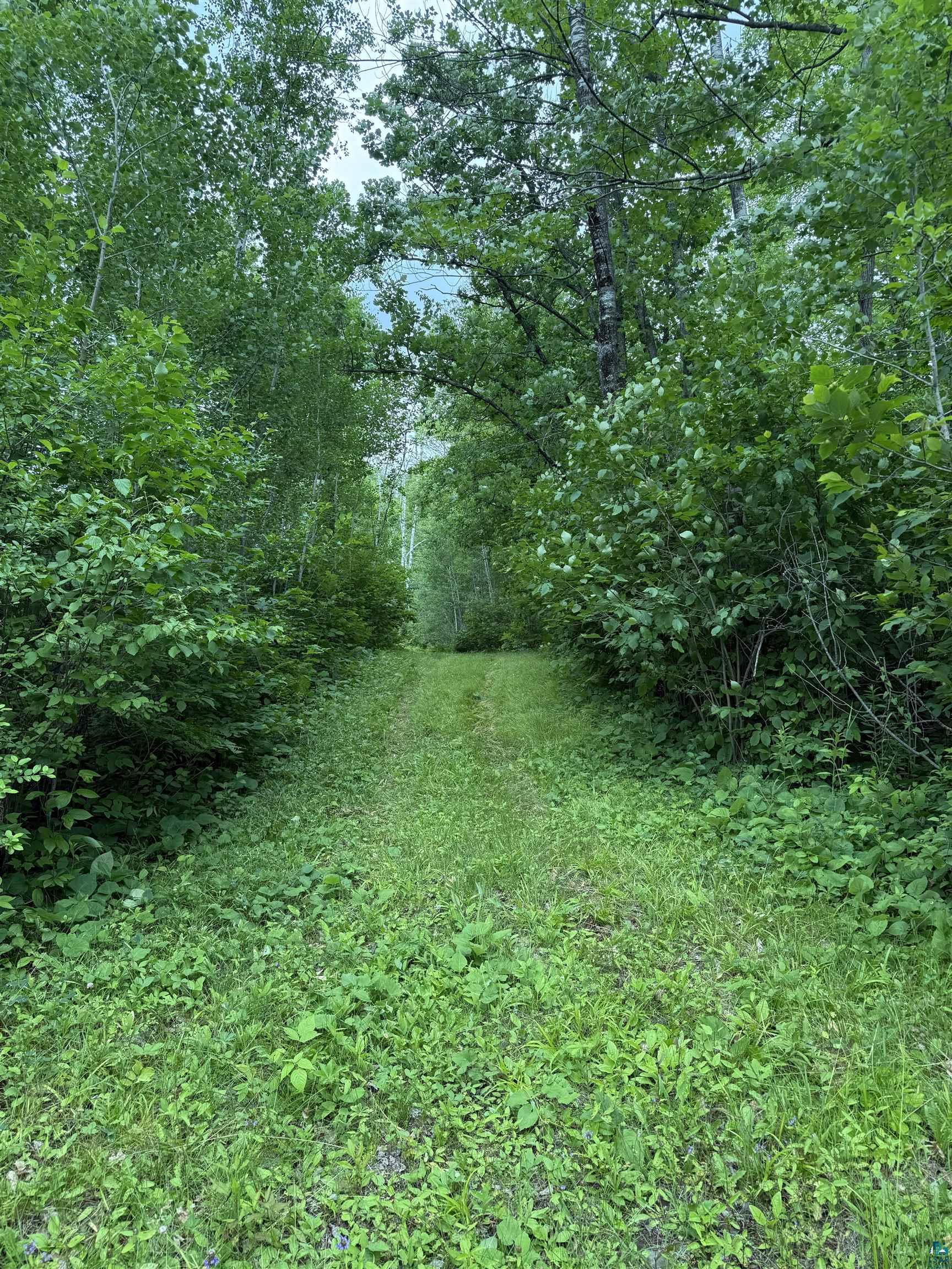 58059 Wolf Creek Road Sandstone, MN 55072 - Photo 17 of 31