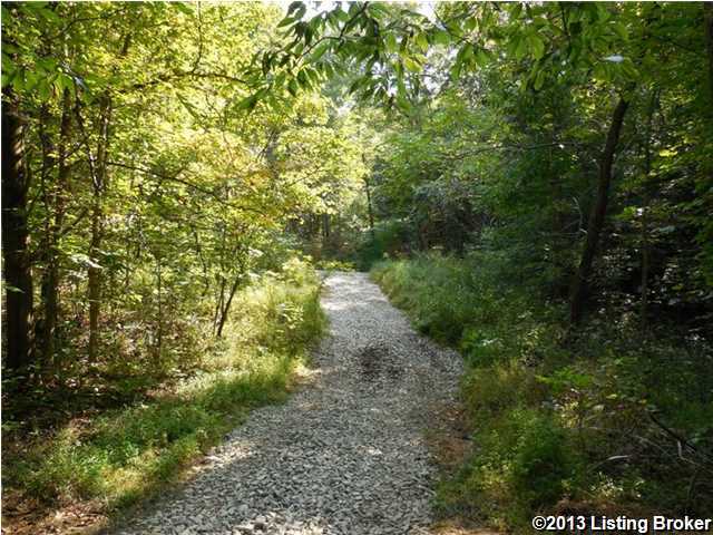 0 Red Lick Road Columbia, KY 42728 - Photo 9 of 15 Additional Photo