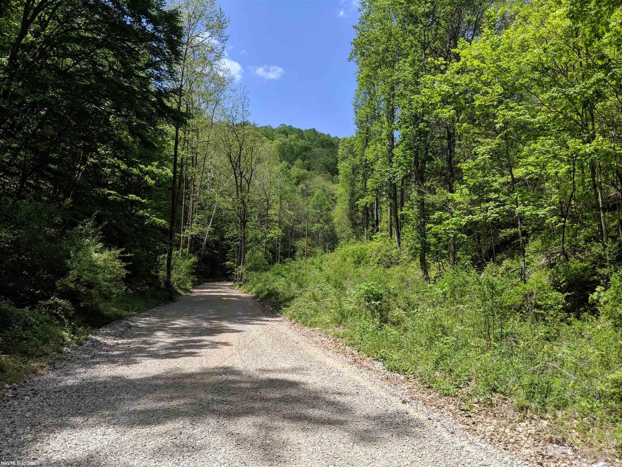 Tbd Dry Run Road Blacksburg, VA 24060 - Photo 2 of 12 Gallery Image 2