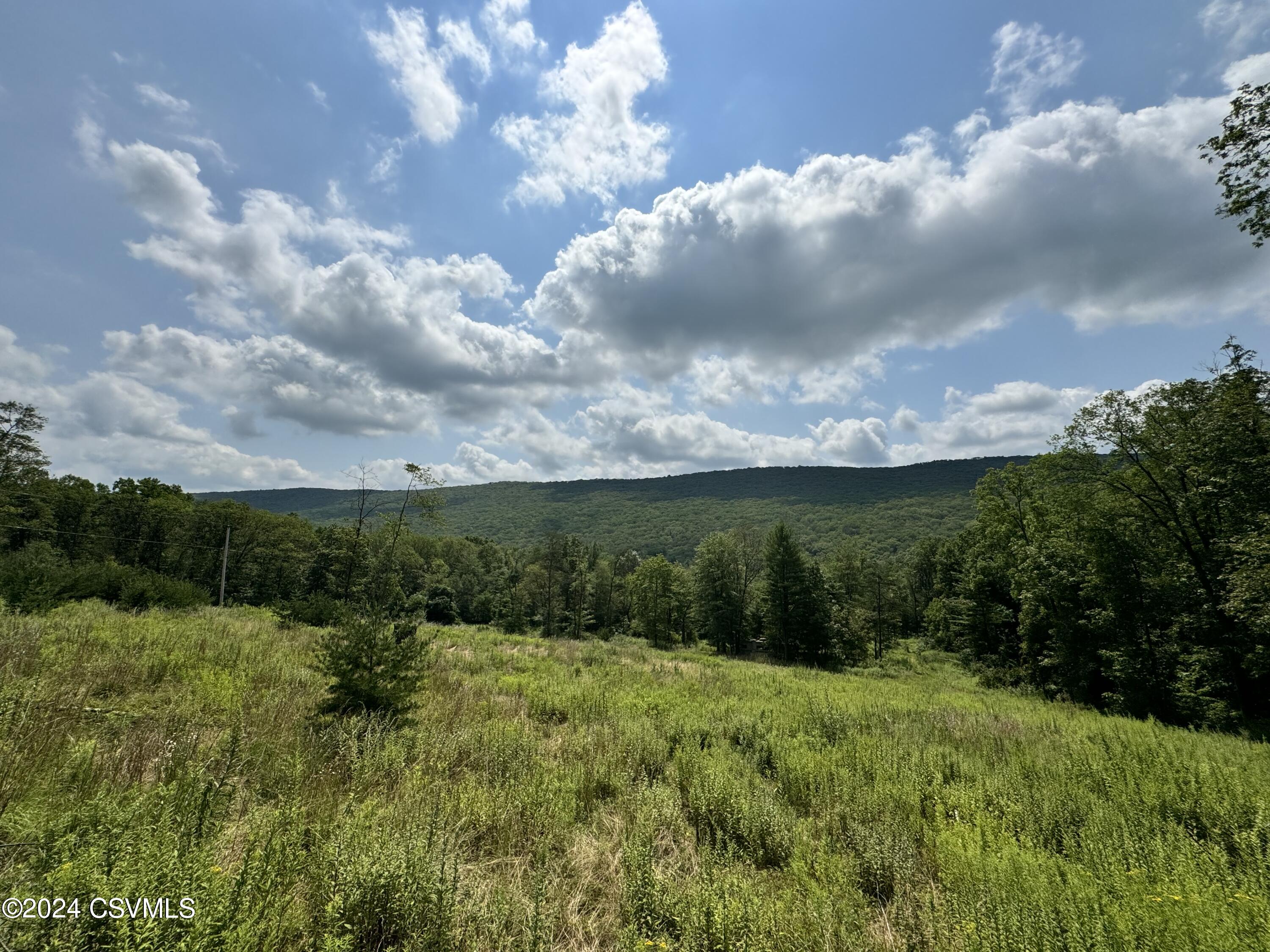 3677 Lower Road Shamokin, PA 17872 - Photo 3 of 18 Gallery Image 3