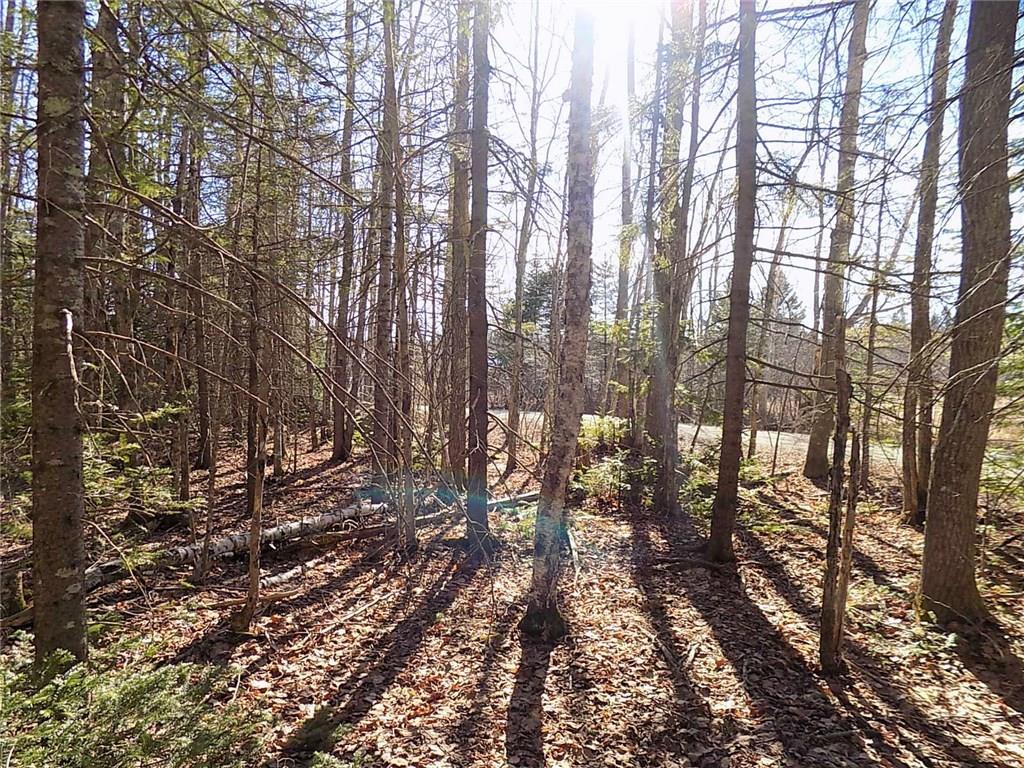 1 Oak Point Road Trenton, ME 04605 - Photo 6 of 13 Standing inside the lot looking out...