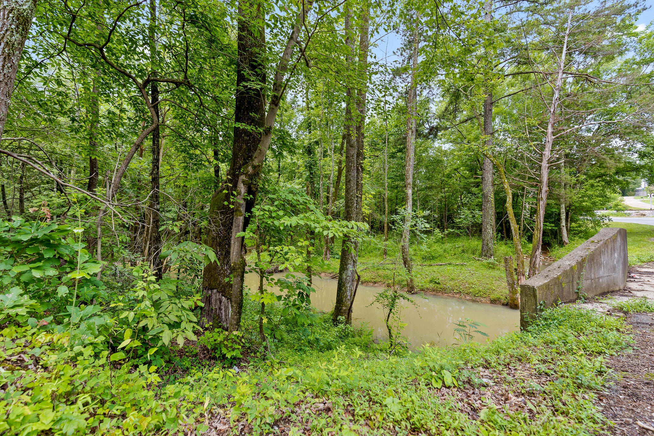 0 Warren East Road LaFayette, GA 30728 - Photo 7 of 10 Water located on property