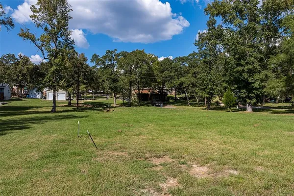 a view of a tree in a yard