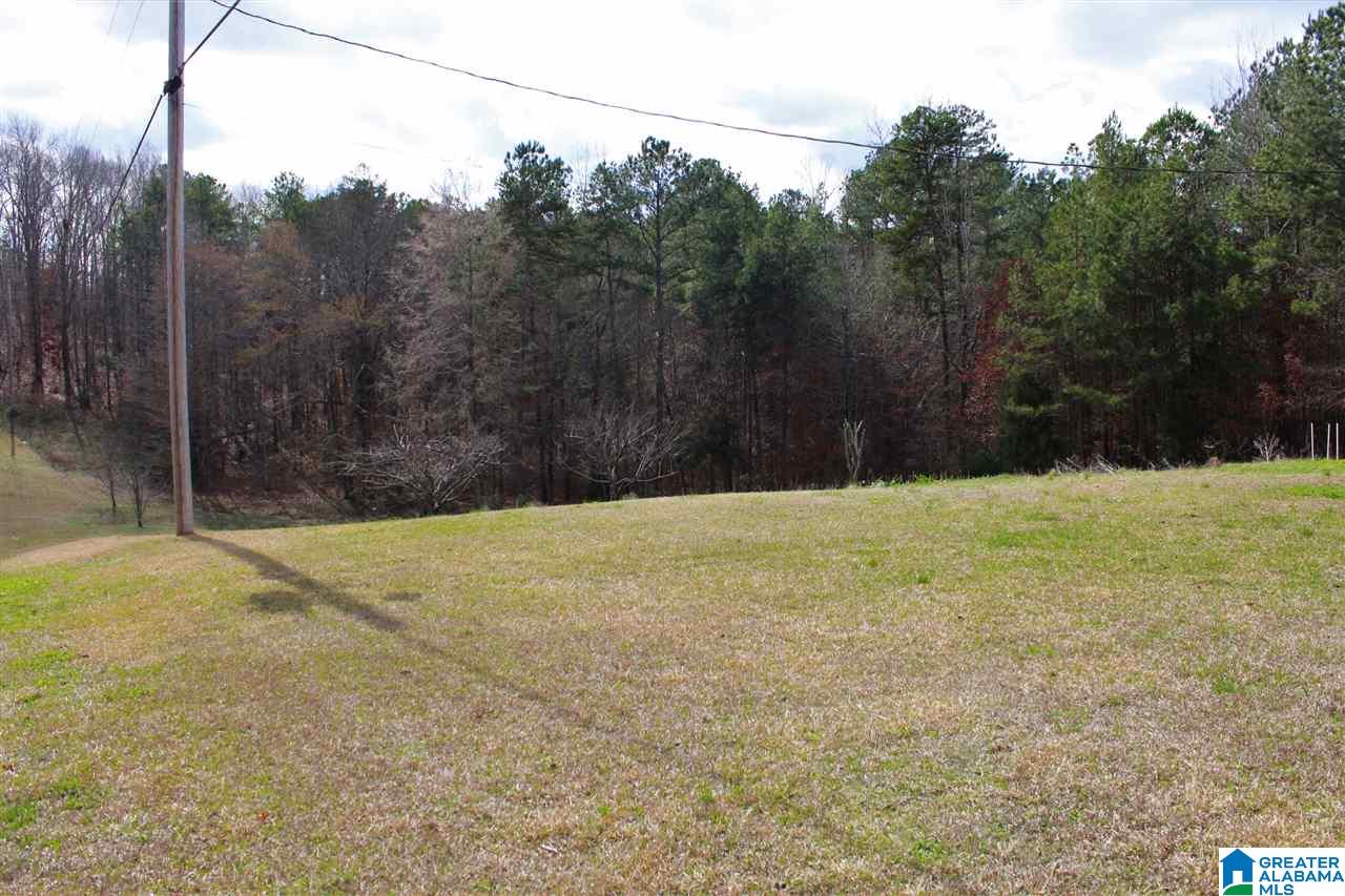122 Trinity Way Jacksonville, AL 36265 - Photo 3 of 25