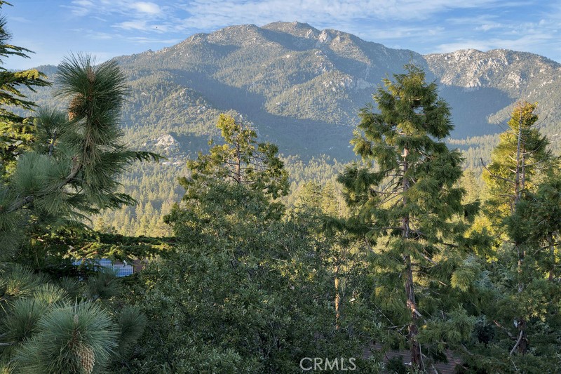 26857 Crestview Drive Idyllwild, CA 92549 - Photo 36 of 44