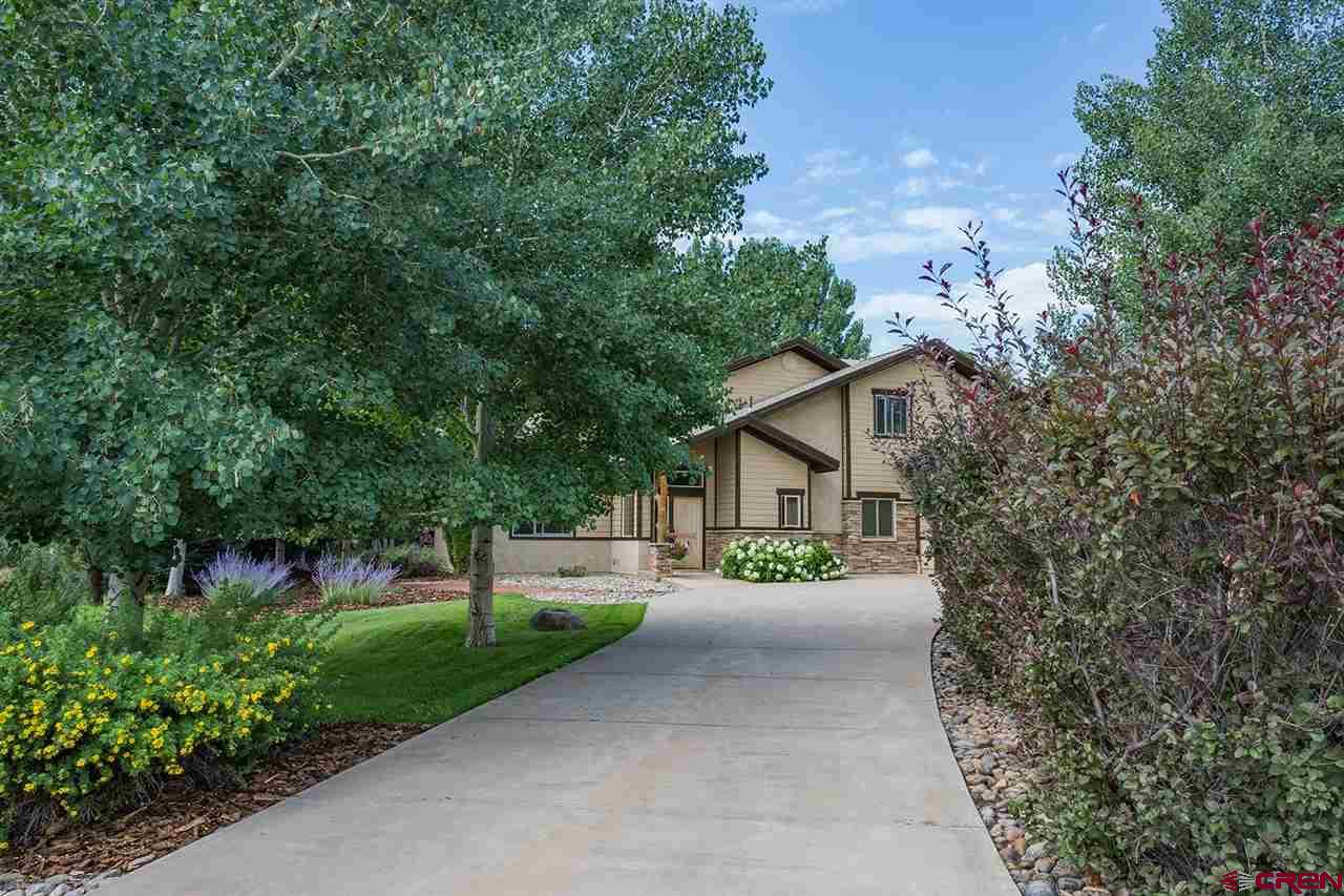 440 Red Rock Road Durango, CO 81301 - Photo 3 of 35