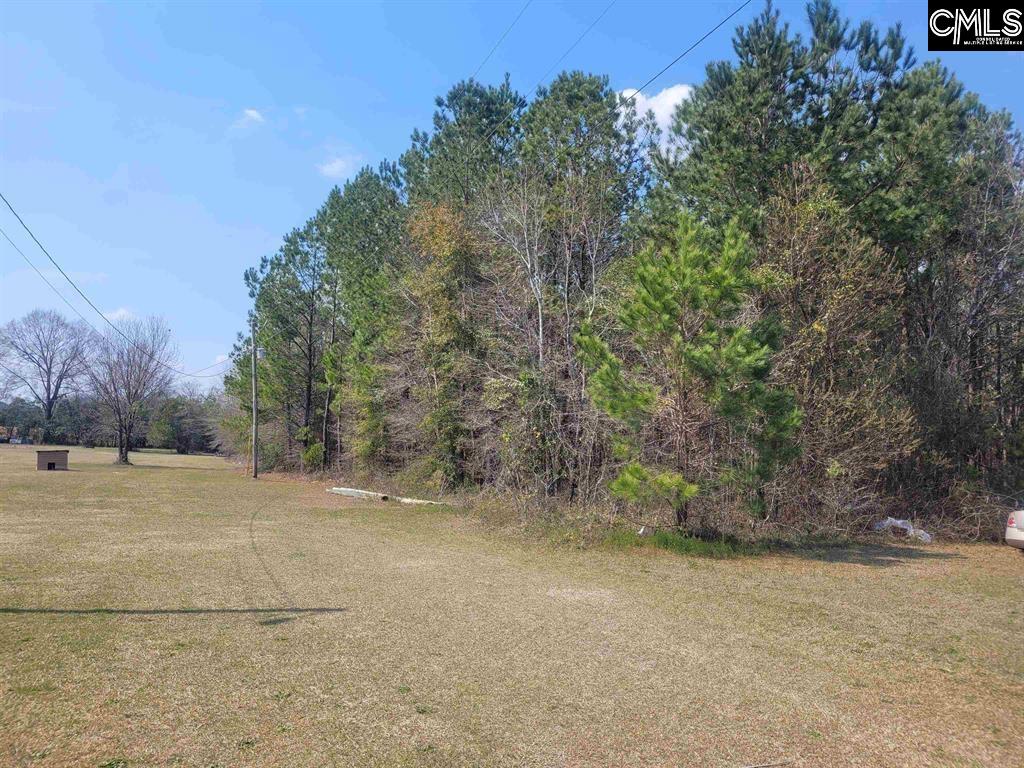 239 House Road Eastover, SC 29044 - Photo 10 of 10