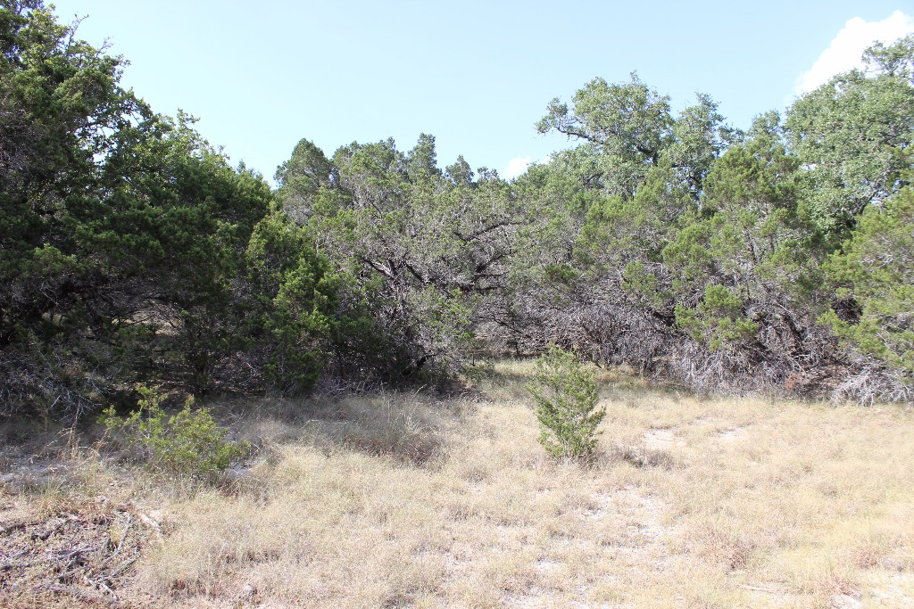 0 Geronimo Road Wimberley, TX 78676 - Photo 1 of 1 Gallery Image 1
