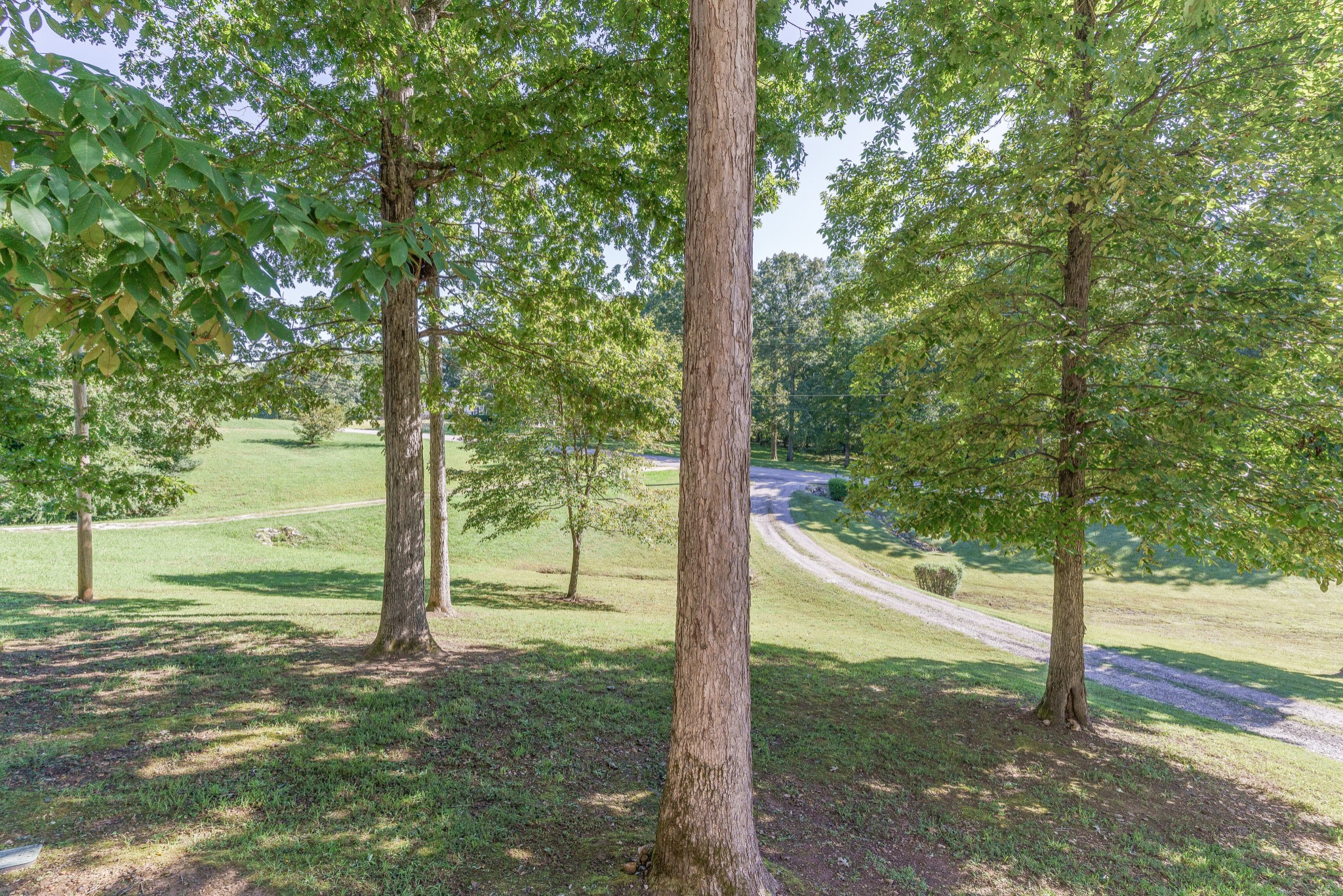 118 Payne Springs Road Dickson, TN 37055 - Photo 8 of 32 Gallery Image 8