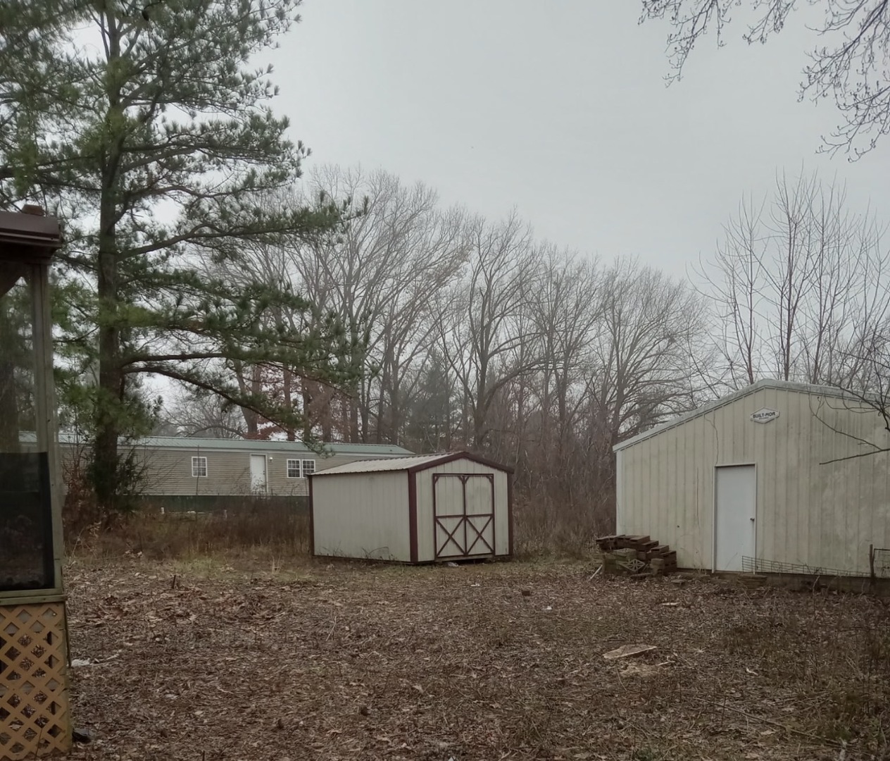 967 Bunker Street Equality, IL 62934 - Photo 22 of 23 a view of backyard with tree and outdoor space