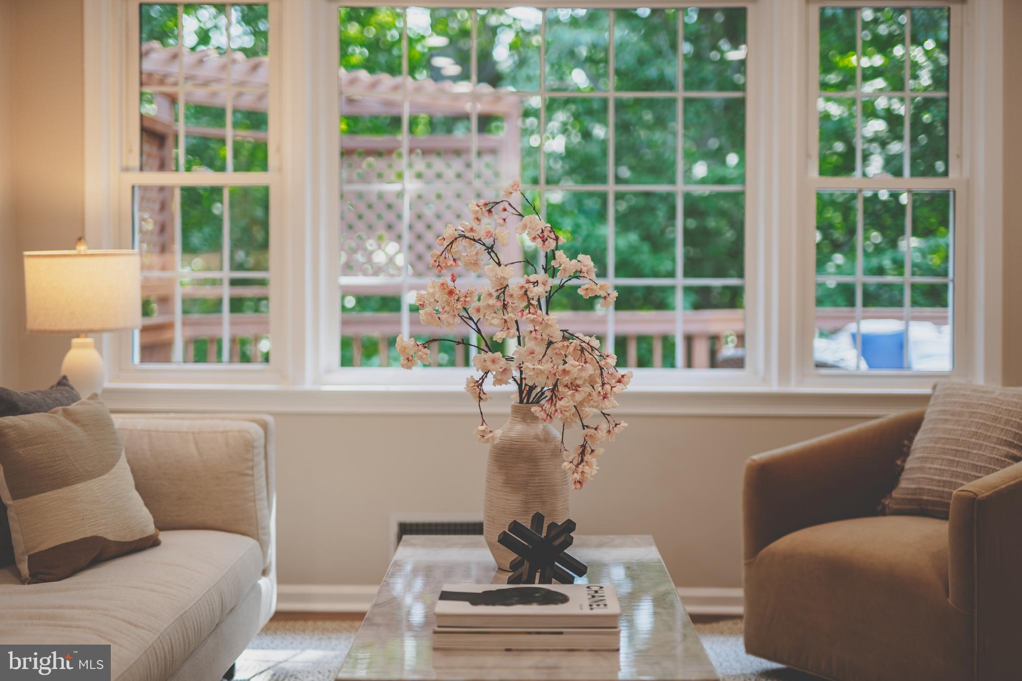6803 Houndmaster Road Springfield, VA 22152 - Photo 10 of 44 a living room with furniture and a potted plant