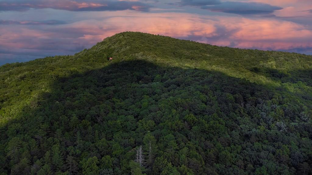 Lot 18 Cub Trail Cherry Log, GA 30522 - Photo 9 of 17