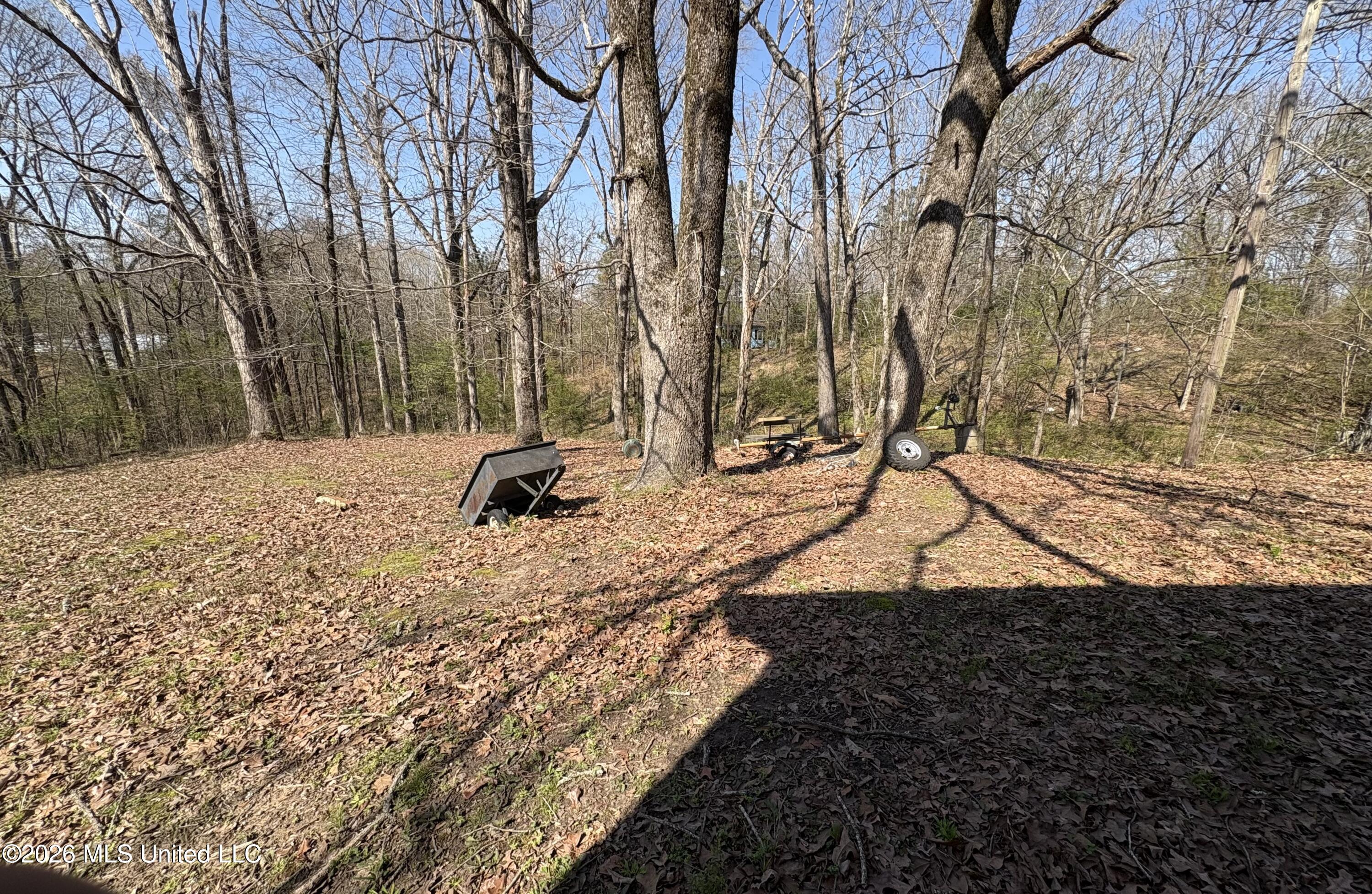 8 County Road 529 Como, MS 38619 - Photo 29 of 32 06_IMG_9412