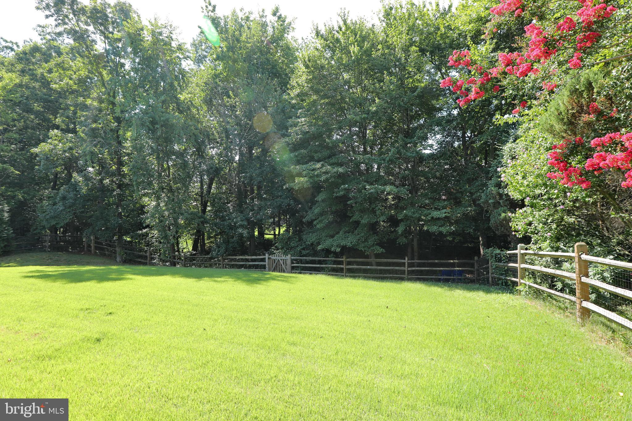 709 Rufford Court Accokeek, MD 20607 - Photo 14 of 75